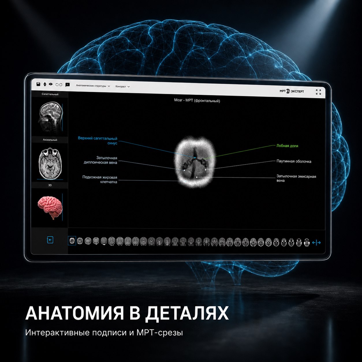 Атлас  лучевой анатомии для ГК «Эксперт» — интерфейс 1