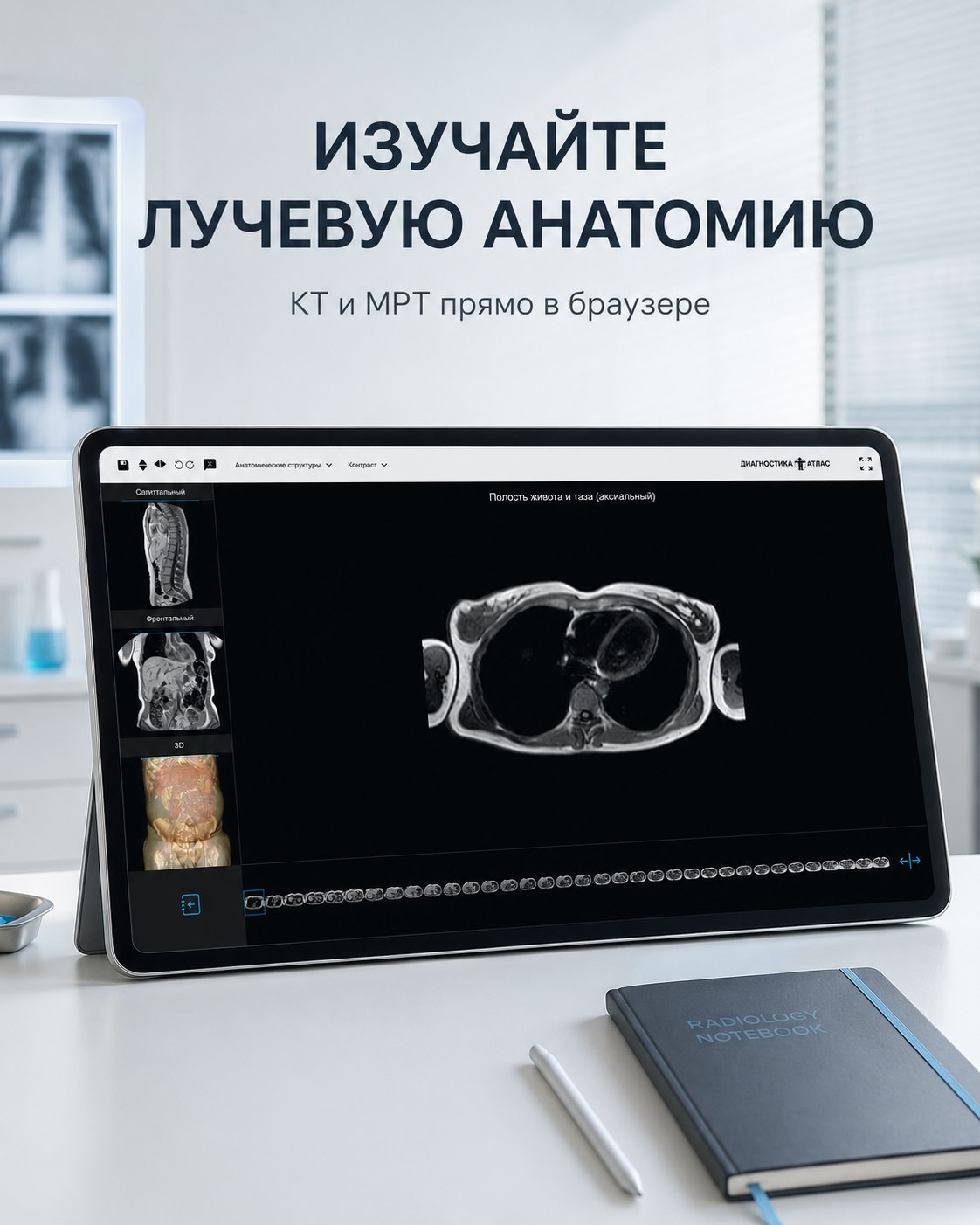 Атлас  лучевой анатомии для ГК «Эксперт» — презентационный экран 2